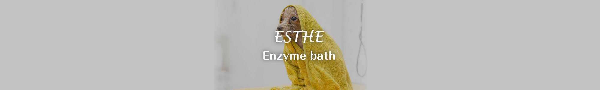 Enzyme bath