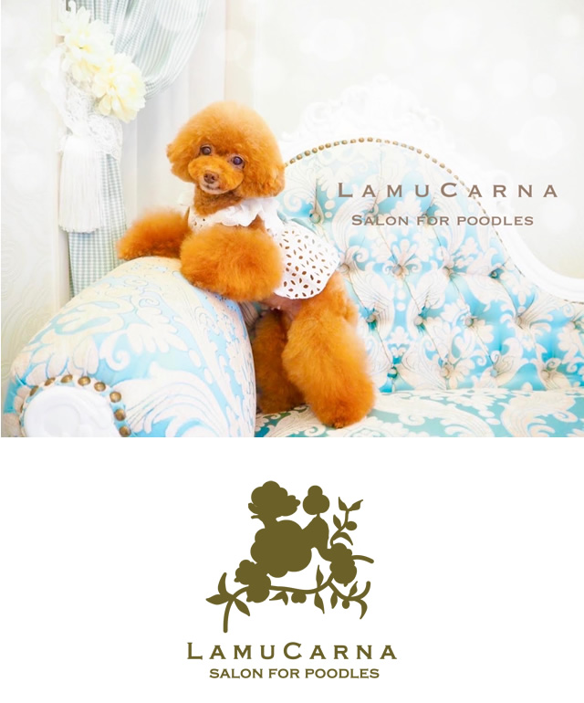 LAMUCARNA SALON FOR POODLES（ラムカーナ）」 | 京都市伏見区 トリミング プードル専門サロン